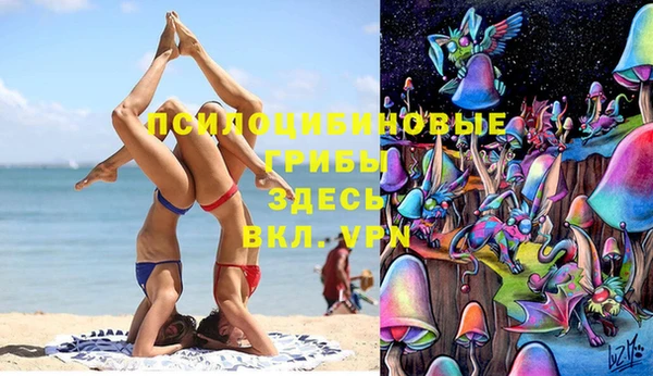 мдпв Абинск