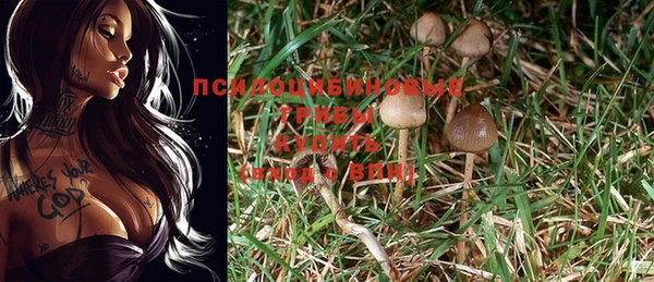 стаф Покров